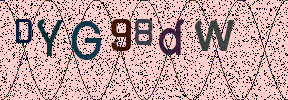 Visual Confirmation Security Code
