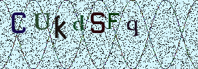 Visual Confirmation Security Code