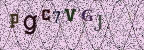 Visual Confirmation Security Code